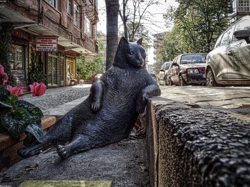 ចំណេះដឹងអំពីចិត្តវិជ្ជា​នៃការប្រកួតល្បែង