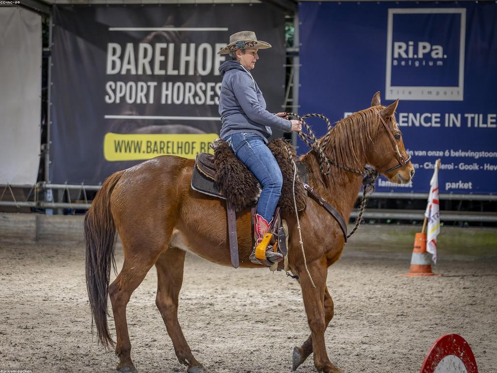 ការប្រកួតល្បែង: អ្វីដែលអ្នកត្រូវយល់ដឹង