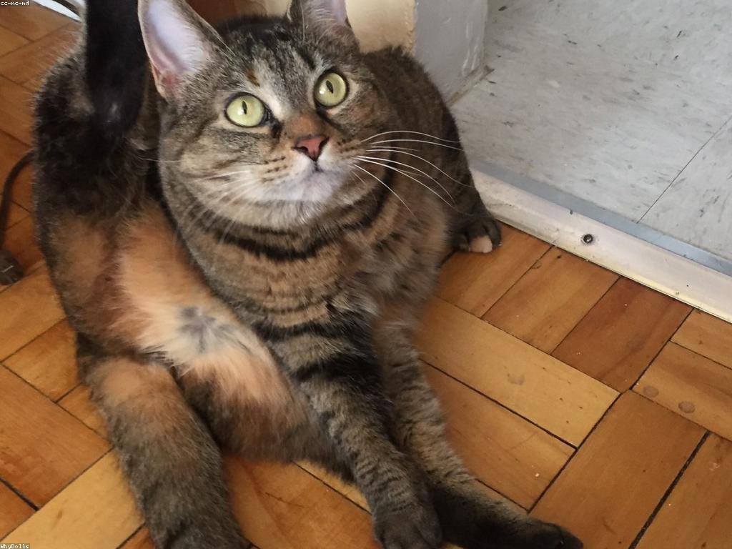 ព័ត៌មានព័ត៌មាន និងអត្ថន័យនៃវា