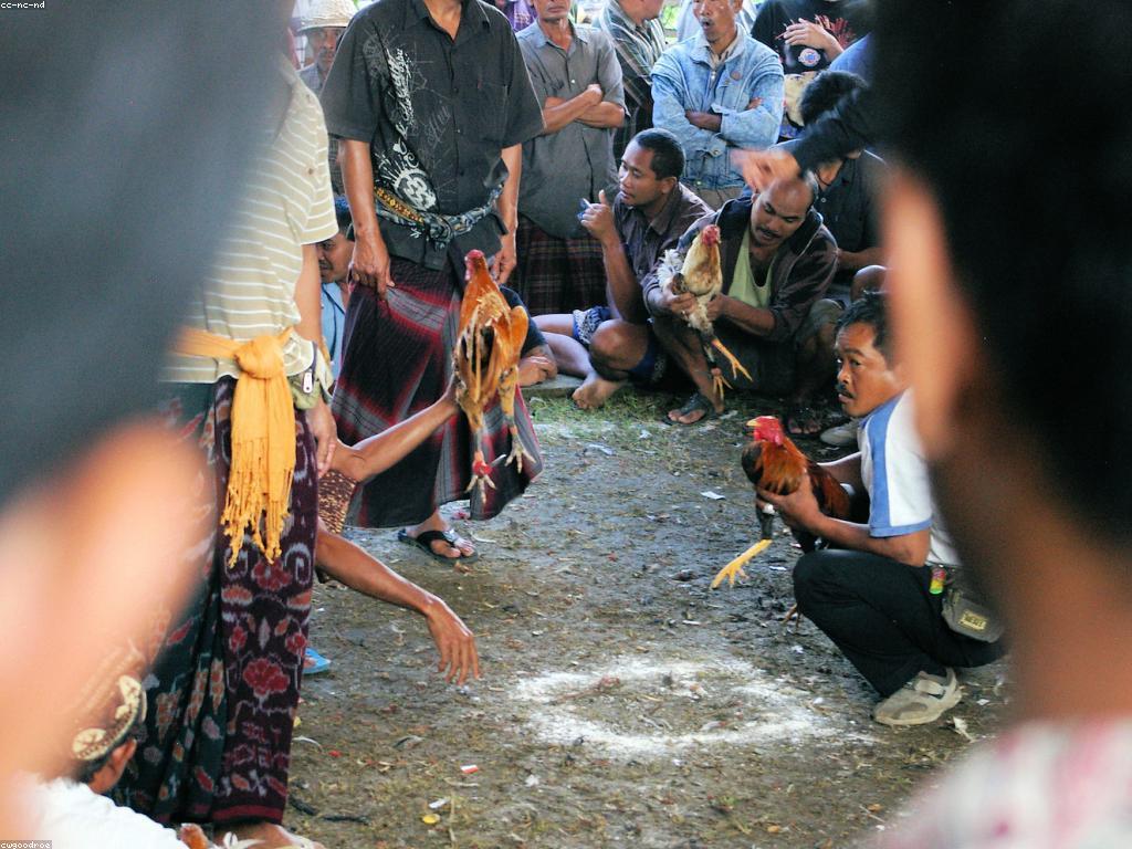 យល់ដឹងអំពីវប្បធម៌ការប្រកួតល្បែង